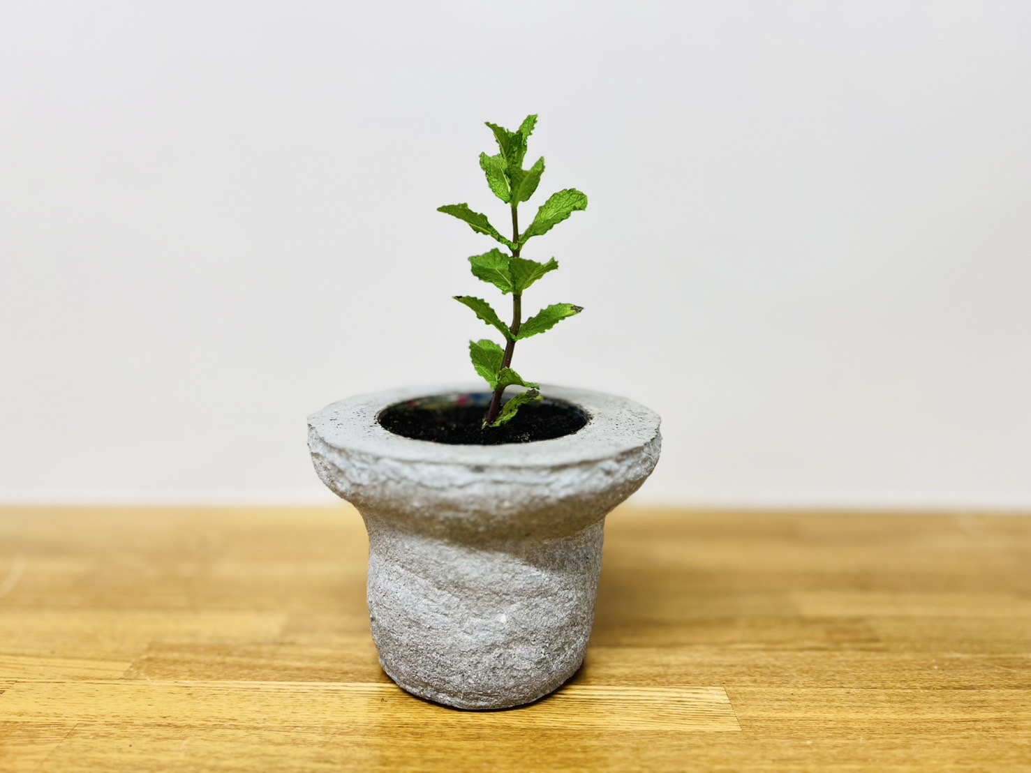 『プランター作り』～ハーブの植え付けまで～