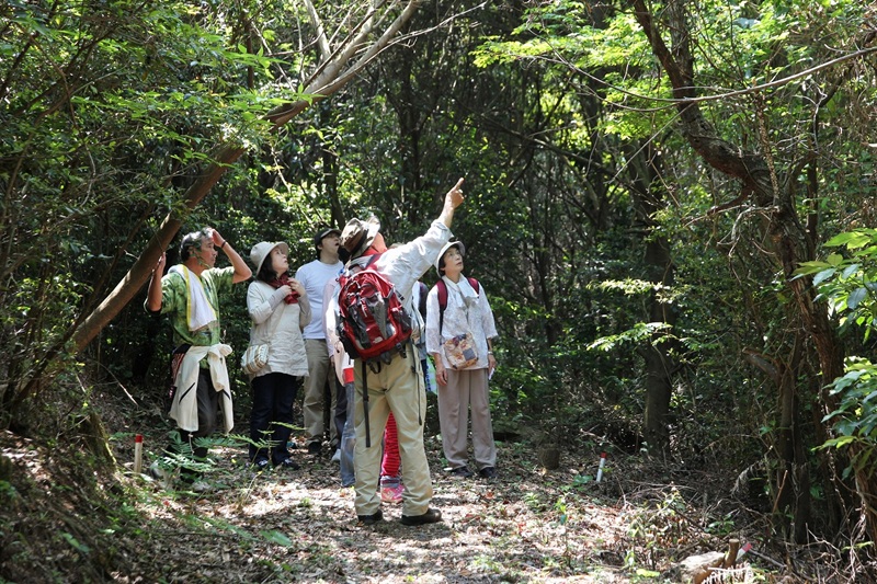 春の牧神山ハイキング