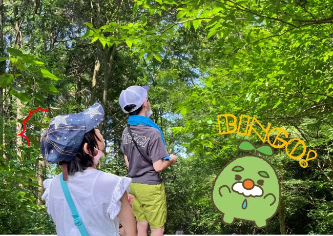 （当日受付）フィールドビンゴ