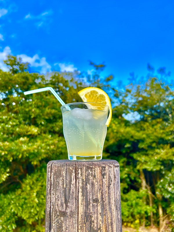 (当日受付）クラフトコーラづくり